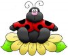 Bug%20on%20Flower.jpg