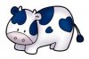 cow.jpg