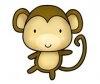 monkey.jpg