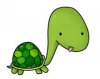 turtle.jpg