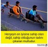 FB_IMG_1499094553203.jpg