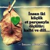 IMG-20170726-WA0005.jpg