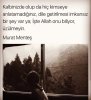 FB_IMG_1502832130584.jpg