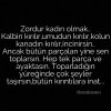 25ef8c0867be9a5895cf57ddb81c11b5.jpg