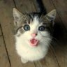 cherie2389