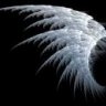 angel333