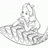 nur06
