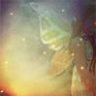 butterfLy*